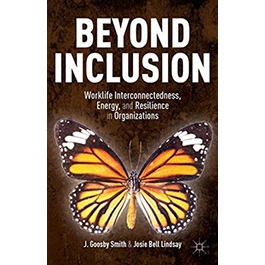book cover for beyond inclusion