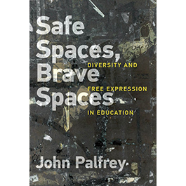 book cover for Safe Spaces, Brave Spaces
