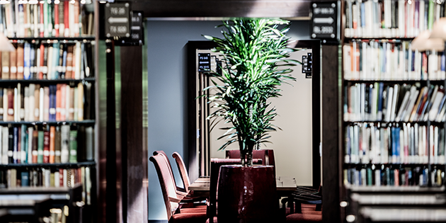 center room with plant