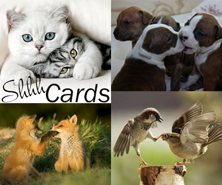 images of cute animals shhhing each other