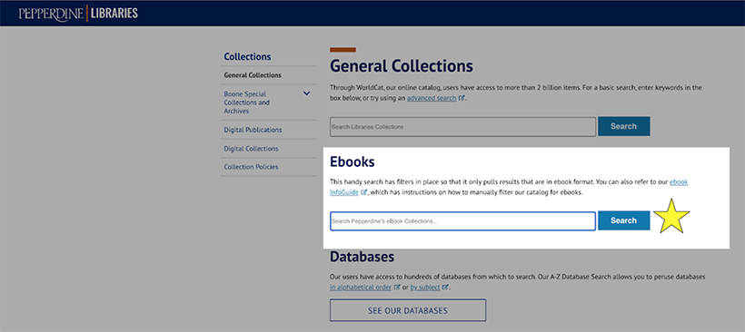 screenshot of ebooks search box