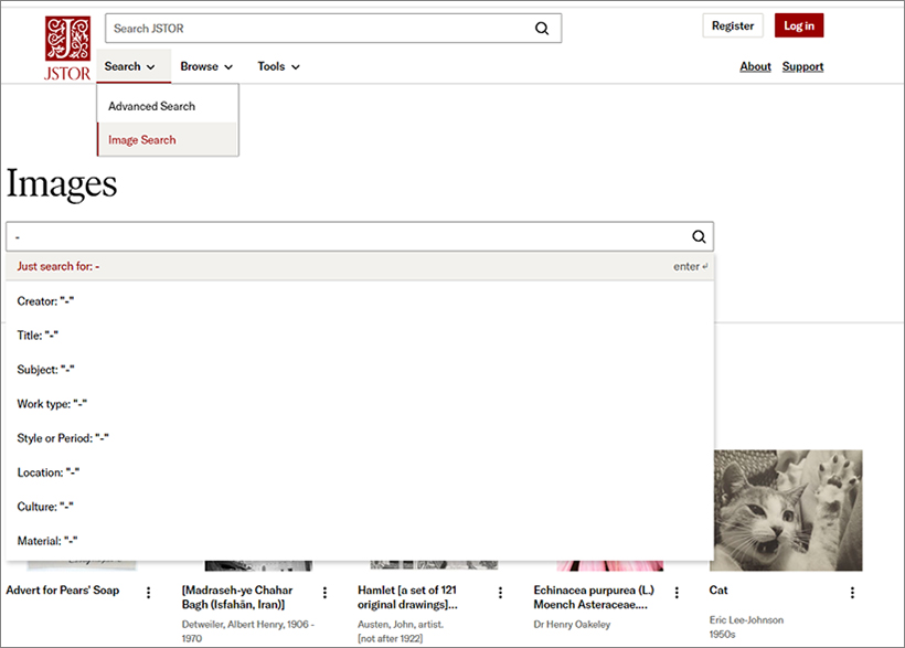 screenshot of Artstor search box
