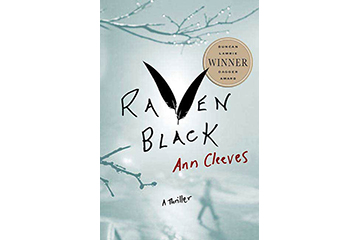 book cover for Raven Black