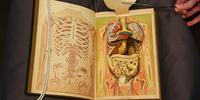  The Household Physician open revealing a tabbed diagram