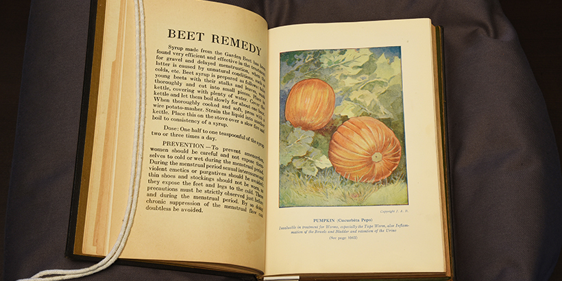 Color plate showing pumpkins