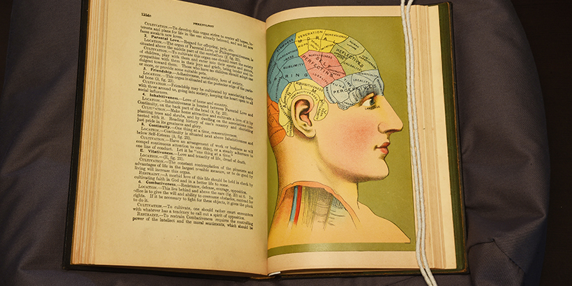Phrenology diagram